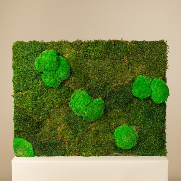 μεγάλος πίνακας με βαλσαμωμένο moss