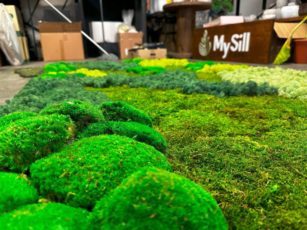 Moss πίνακες - ναυτιλιακή άλιμος | mysill