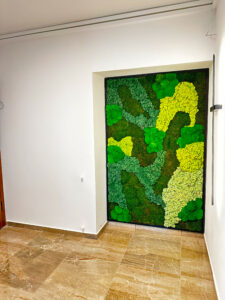 Διαμορφώσεις κήπων | mysill