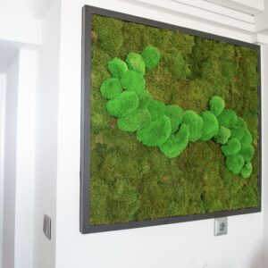 Διαμορφώσεις κήπων | mysill