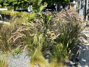 Διαμορφώσεις κήπων | mysill