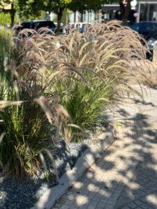 Διαμορφώσεις κήπων | mysill