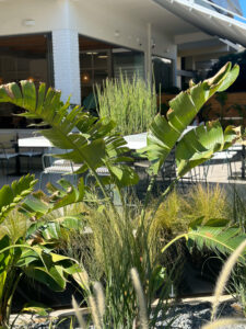 Διαμορφώσεις κήπων | mysill