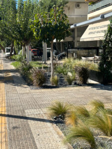 Διαμορφώσεις κήπων | mysill