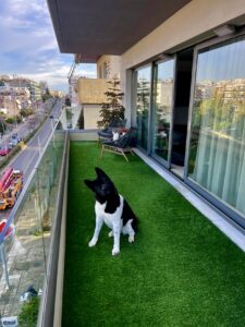 Διαμορφώσεις κήπων | mysill