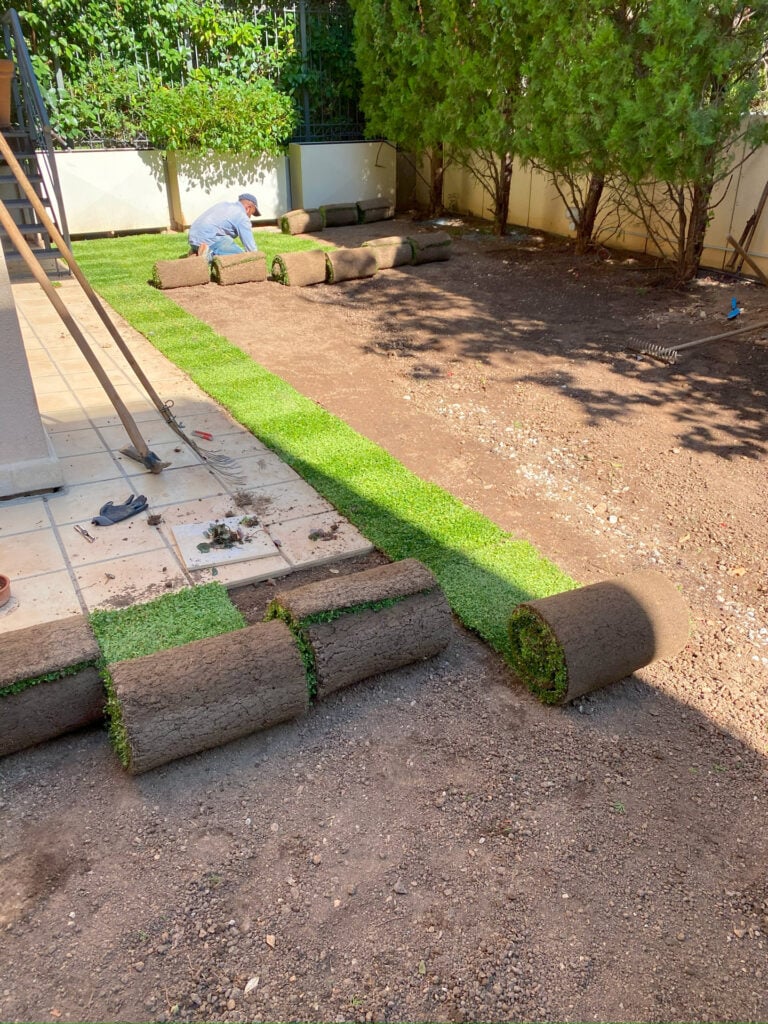 Διαμορφώσεις κήπων | mysill