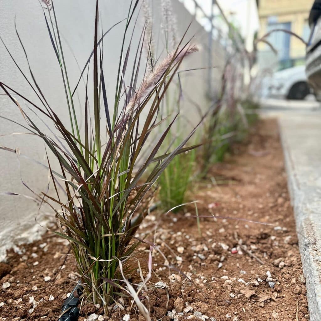 Κατασκευή κήπου - πετράλωνα | mysill