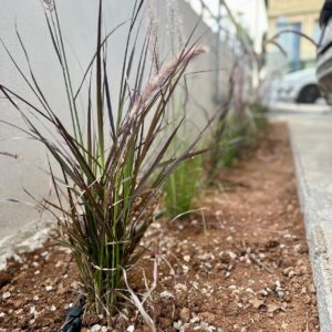 Διαμορφώσεις κήπων | mysill