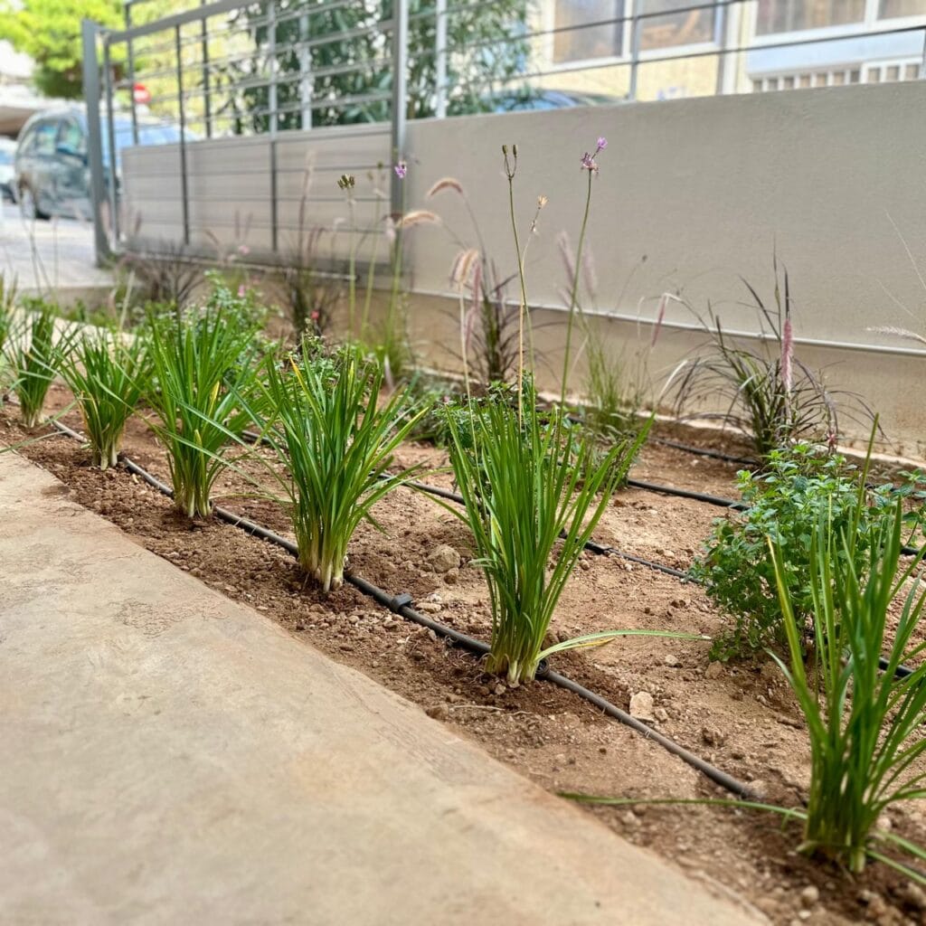 Κατασκευή κήπου - πετράλωνα | mysill