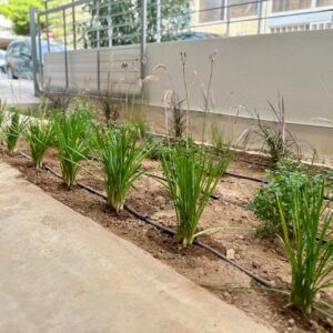 Διαμορφώσεις κήπων | mysill