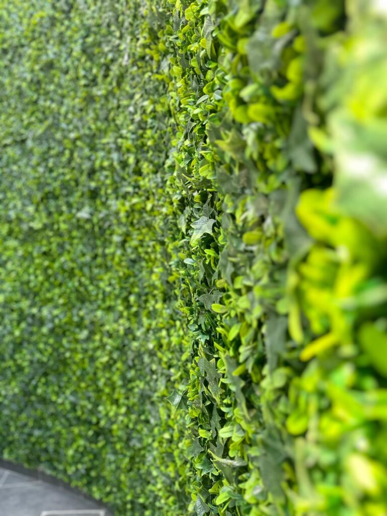 Διαμορφώσεις κήπων | mysill