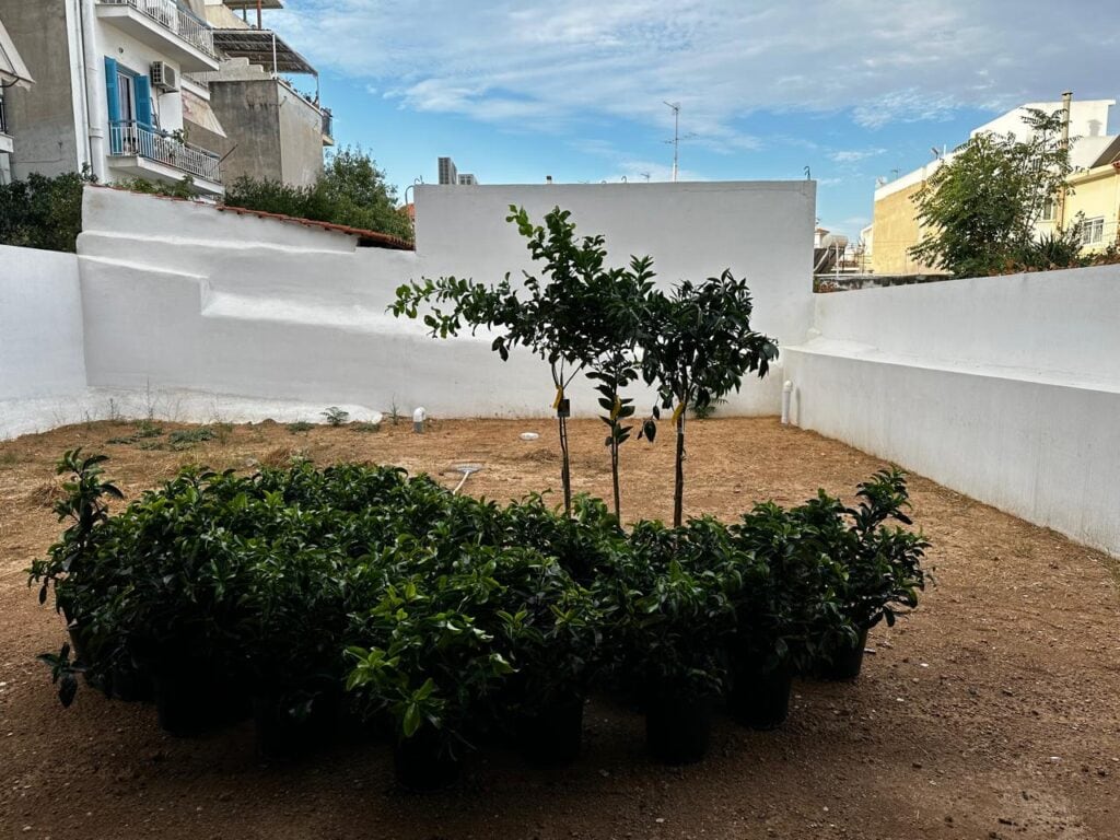 Κατασκευή κήπου - άγιος δημήτριος | mysill