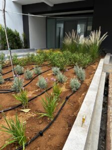 Διαμορφώσεις κήπων | mysill