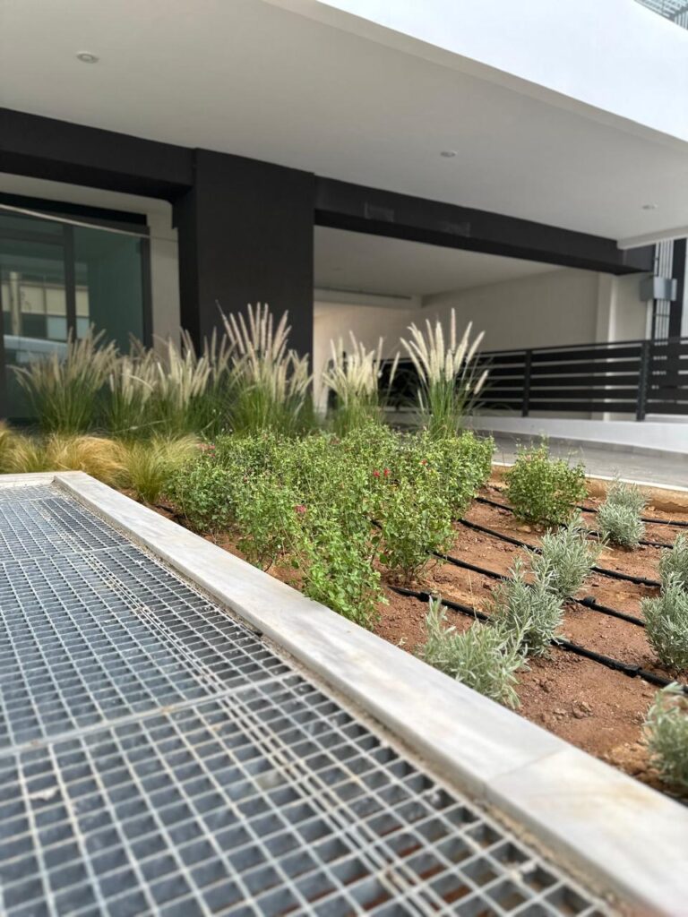 Διαμορφώσεις κήπων | mysill