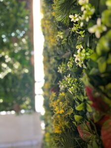 Διαμορφώσεις κήπων | mysill