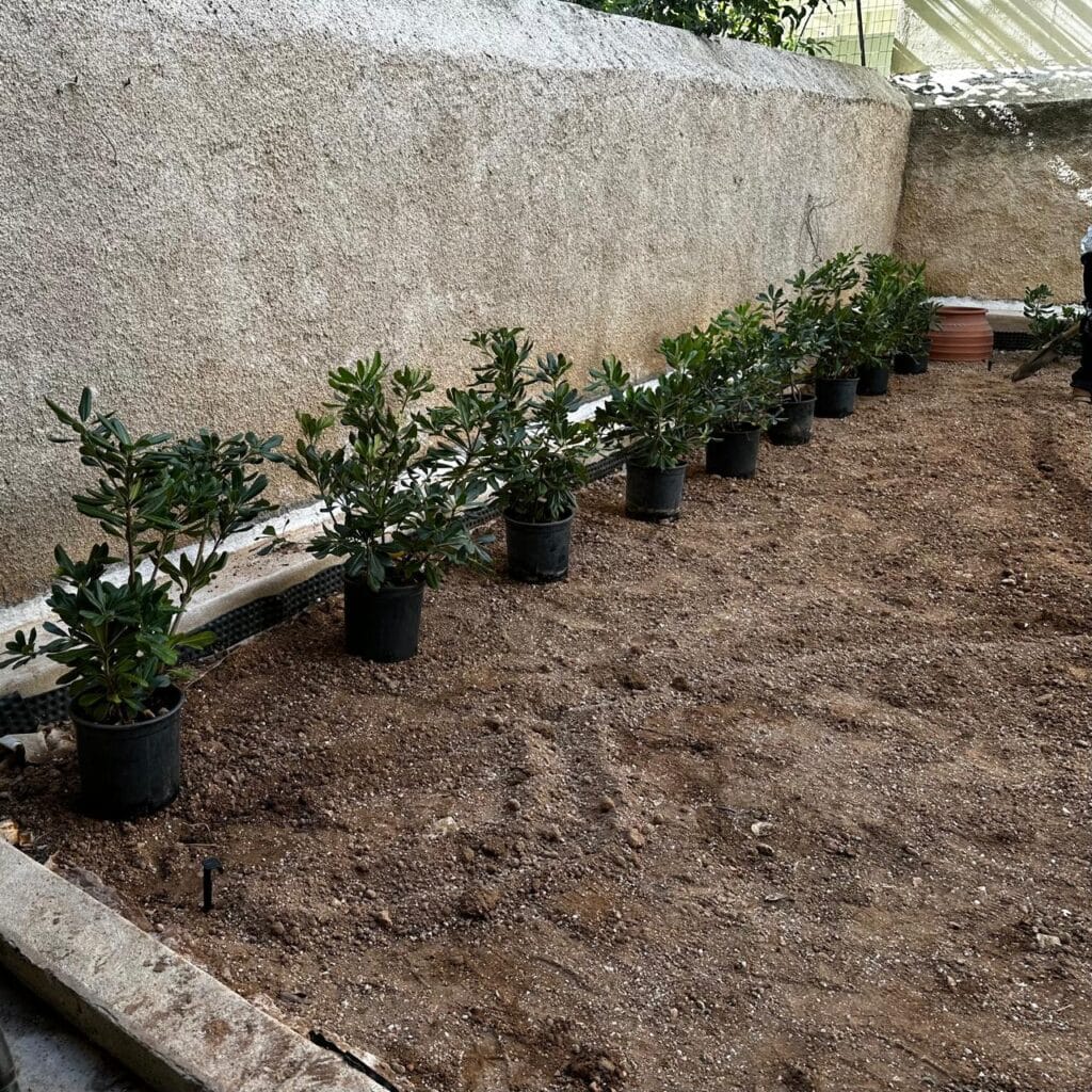 Κατασκευή κήπου - νέα σμύρνη | mysill