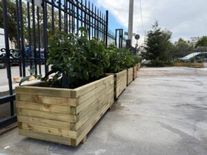 Διαμορφώσεις κήπων | mysill