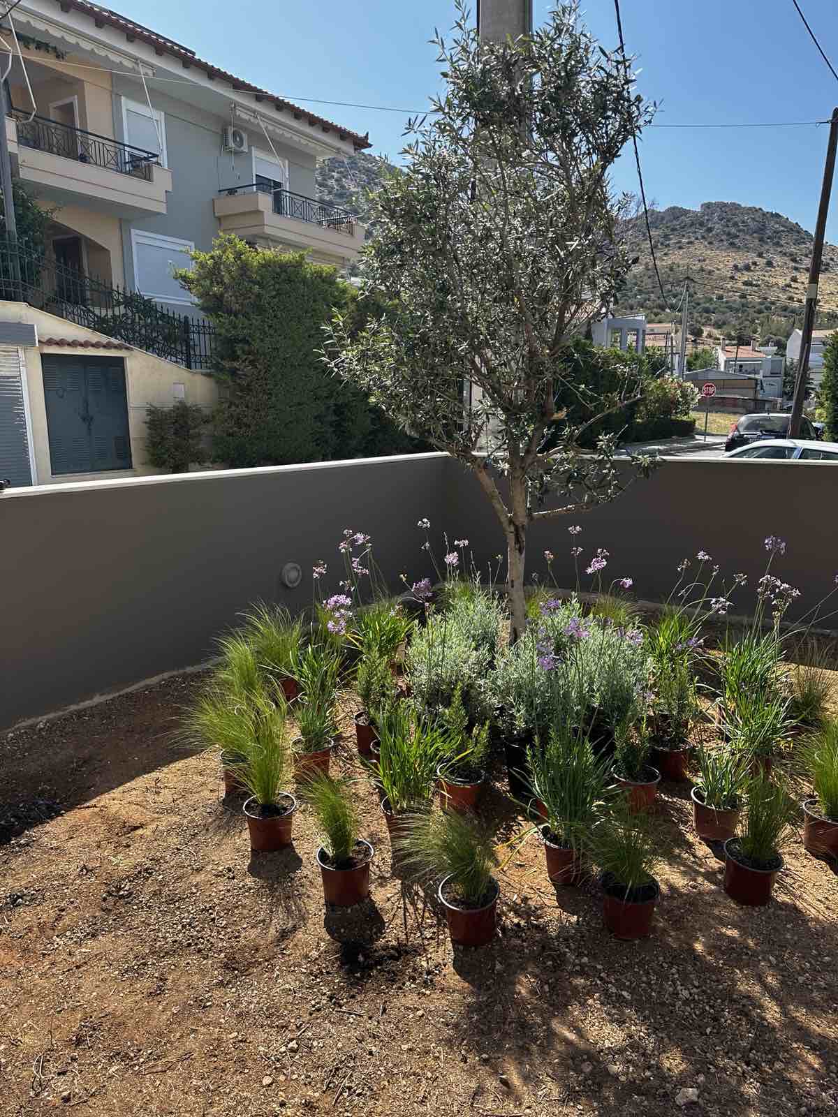 Κατασκευή κήπου - άνω γλυφάδα | mysill