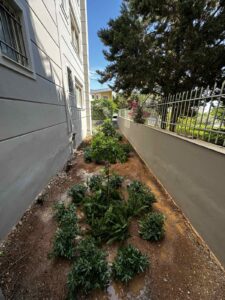 Διαμορφώσεις κήπων | mysill