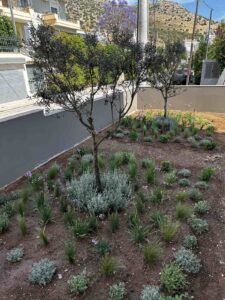 Διαμορφώσεις κήπων | mysill