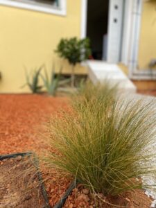 Διαμορφώσεις κήπων | mysill