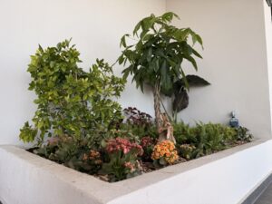 Διαμορφώσεις κήπων | mysill