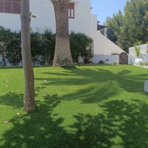 Διαμορφώσεις κήπων | mysill