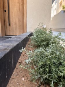 Διαμορφώσεις κήπων | mysill