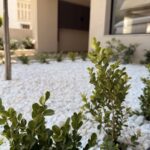 Διαμορφώσεις κήπων | mysill