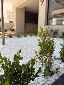 Διαμορφώσεις κήπων | mysill