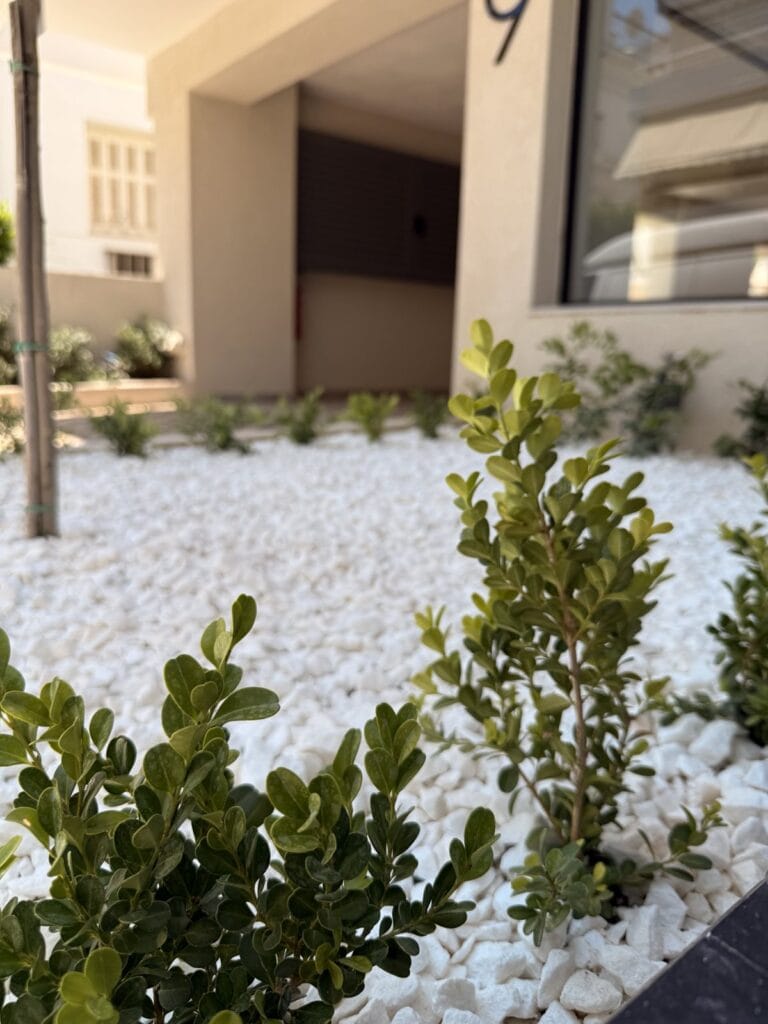 Κατασκευή κήπου - παλαιό φάληρο | mysill