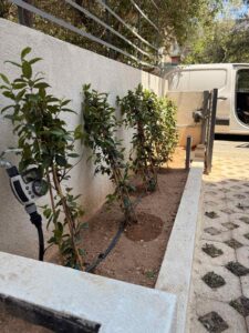 Διαμορφώσεις κήπων | mysill