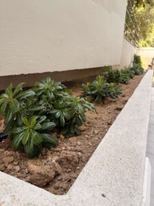 Διαμορφώσεις κήπων | mysill