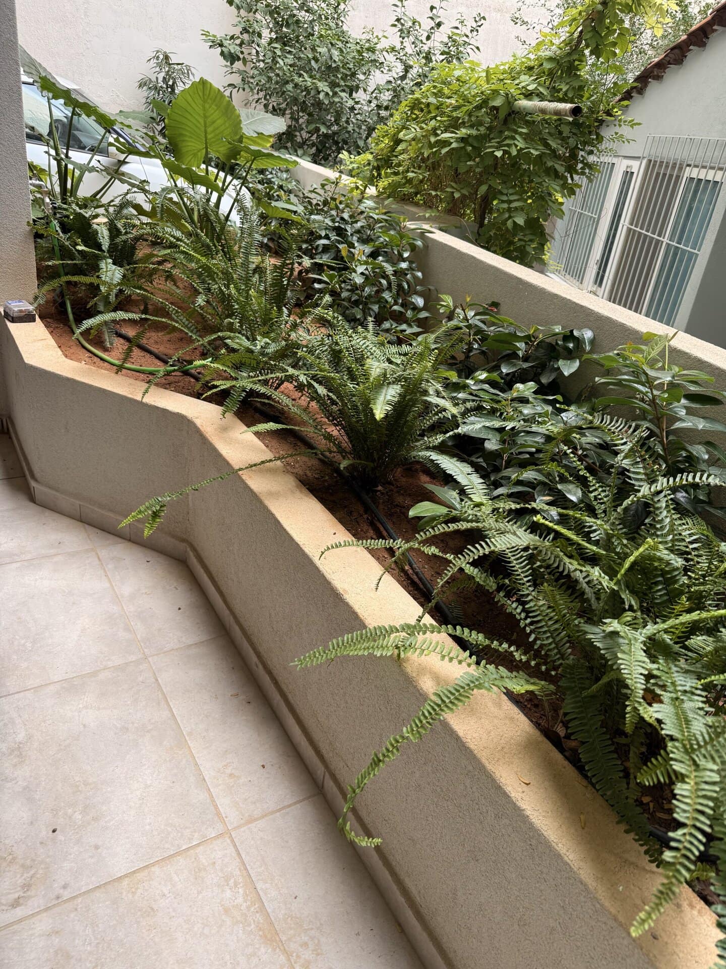 Κατασκευή κήπου - νέα σμύρνη | mysill