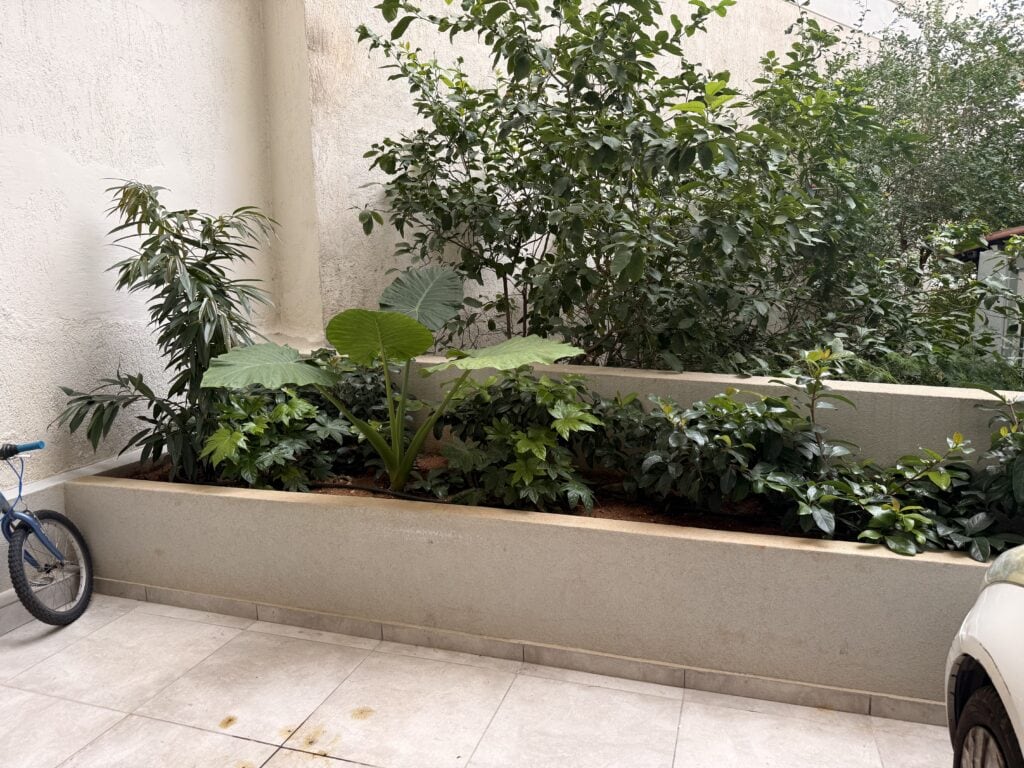 Κατασκευή κήπου - νέα σμύρνη | mysill