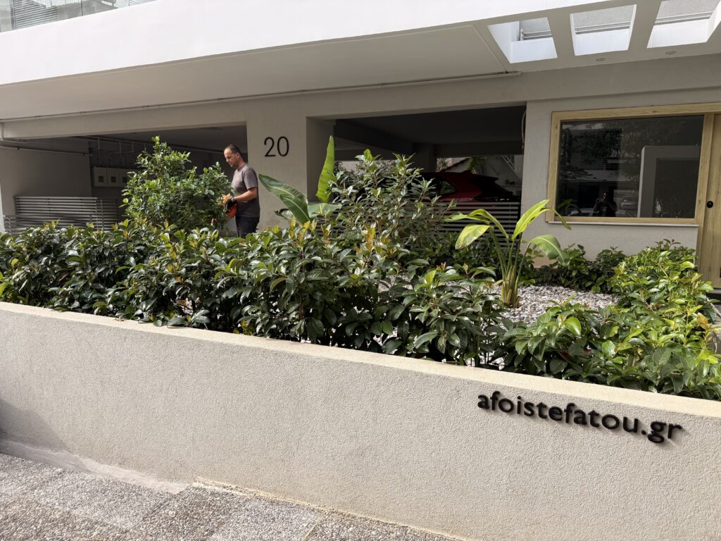 Κατασκευή κήπου - νέα σμύρνη | mysill