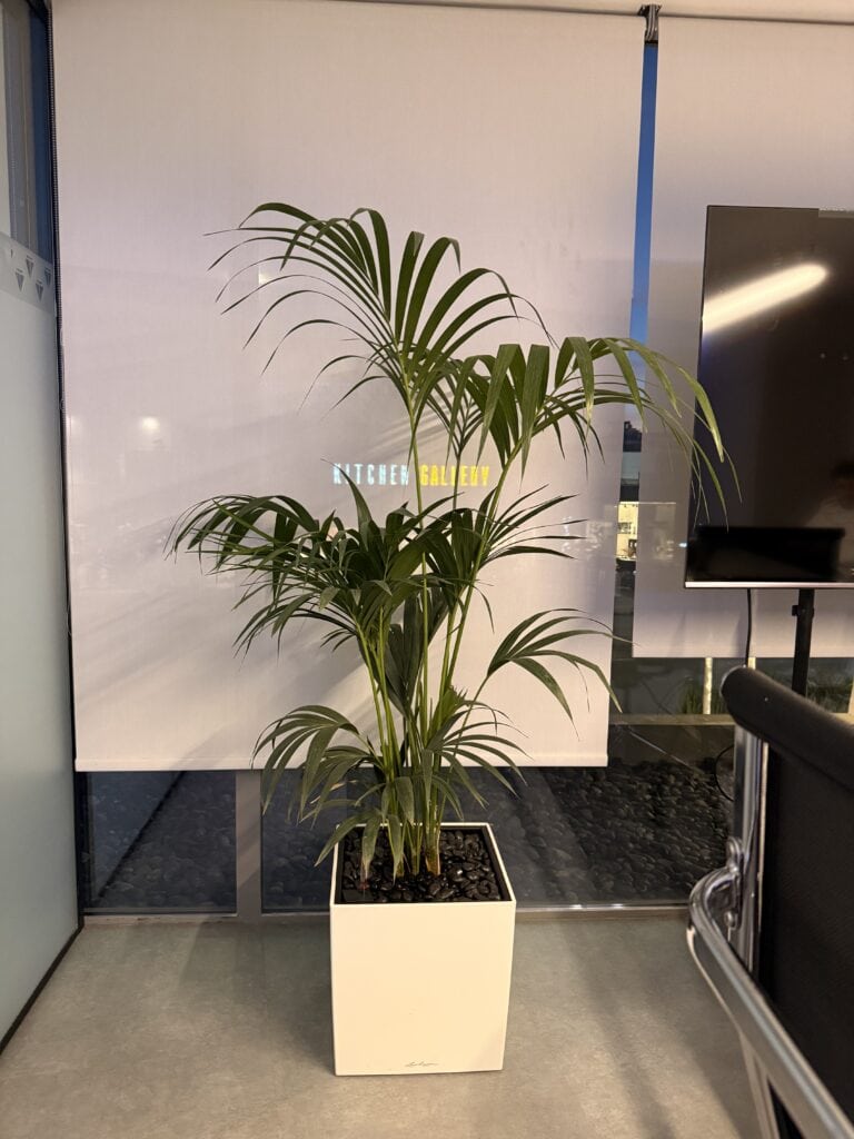 Διαμόρφωση εσωτερικού χώρου - άλιμος | mysill