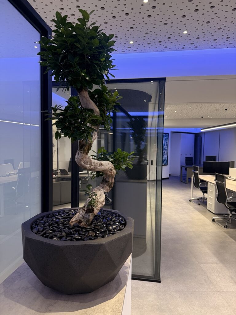 Διαμορφώσεις κήπων | mysill